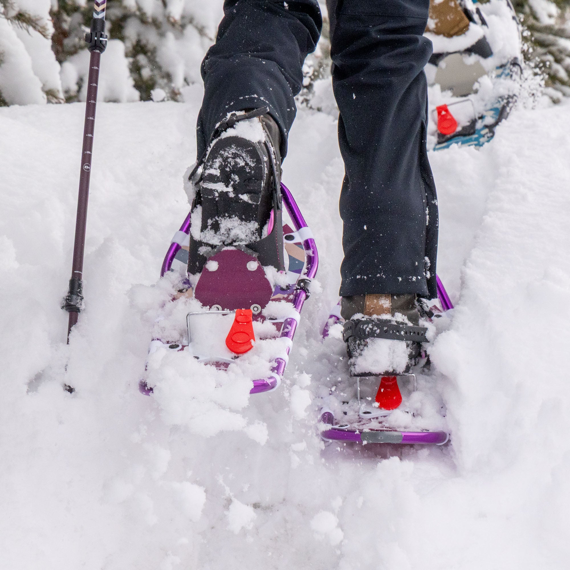 Lolo Pass Series Women's Snowshoe Kit - Dewberry - Image 4