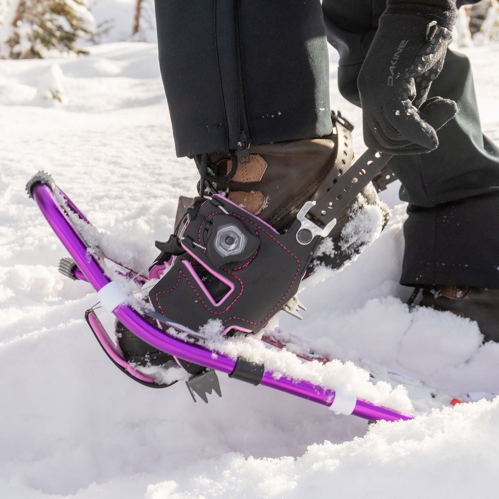 Lolo Pass Series Women's Snowshoe Kit - Dewberry - Image 3