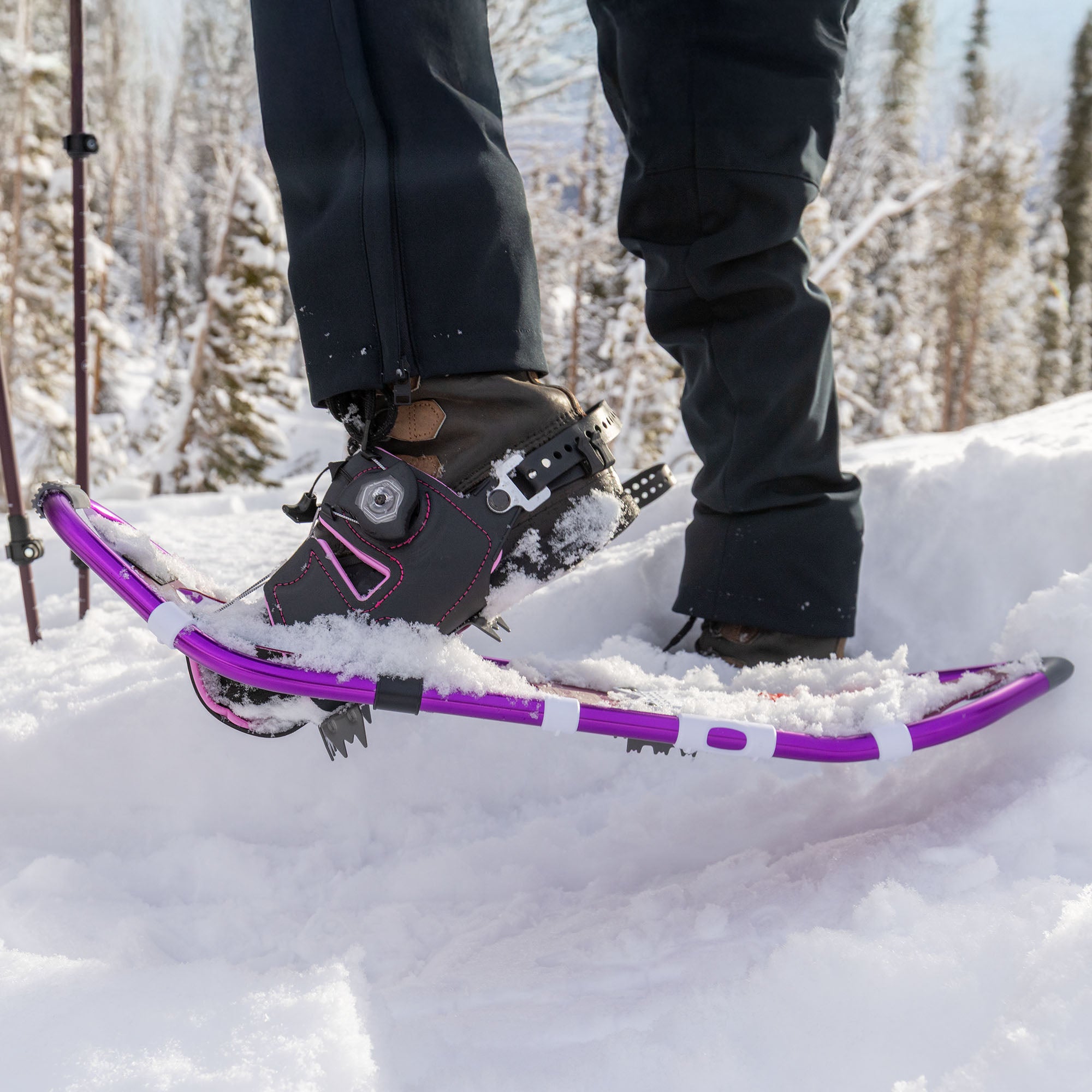 Lolo Pass Series Women's Snowshoe Kit - Dewberry - Image 2